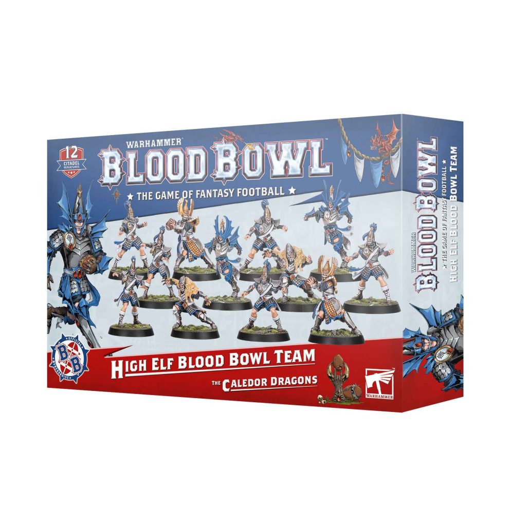 blood bowl: high elf blood bowl team